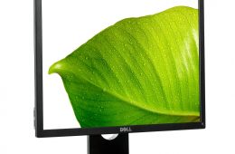 Dell Professional 48cm (19”) Monitor with LED