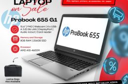 HP Probook 655 G1